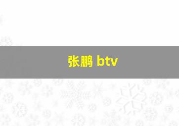 张鹏 btv